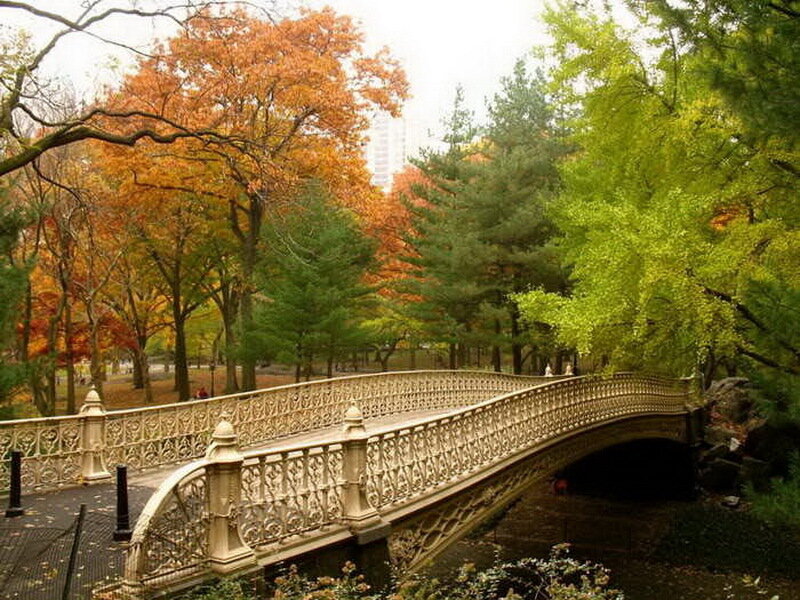 Cast-iron Bridge in Park