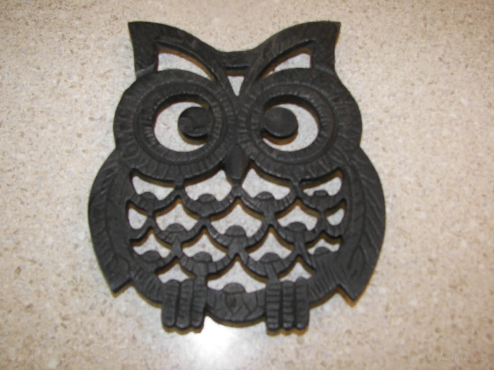 cast iron owl trivet