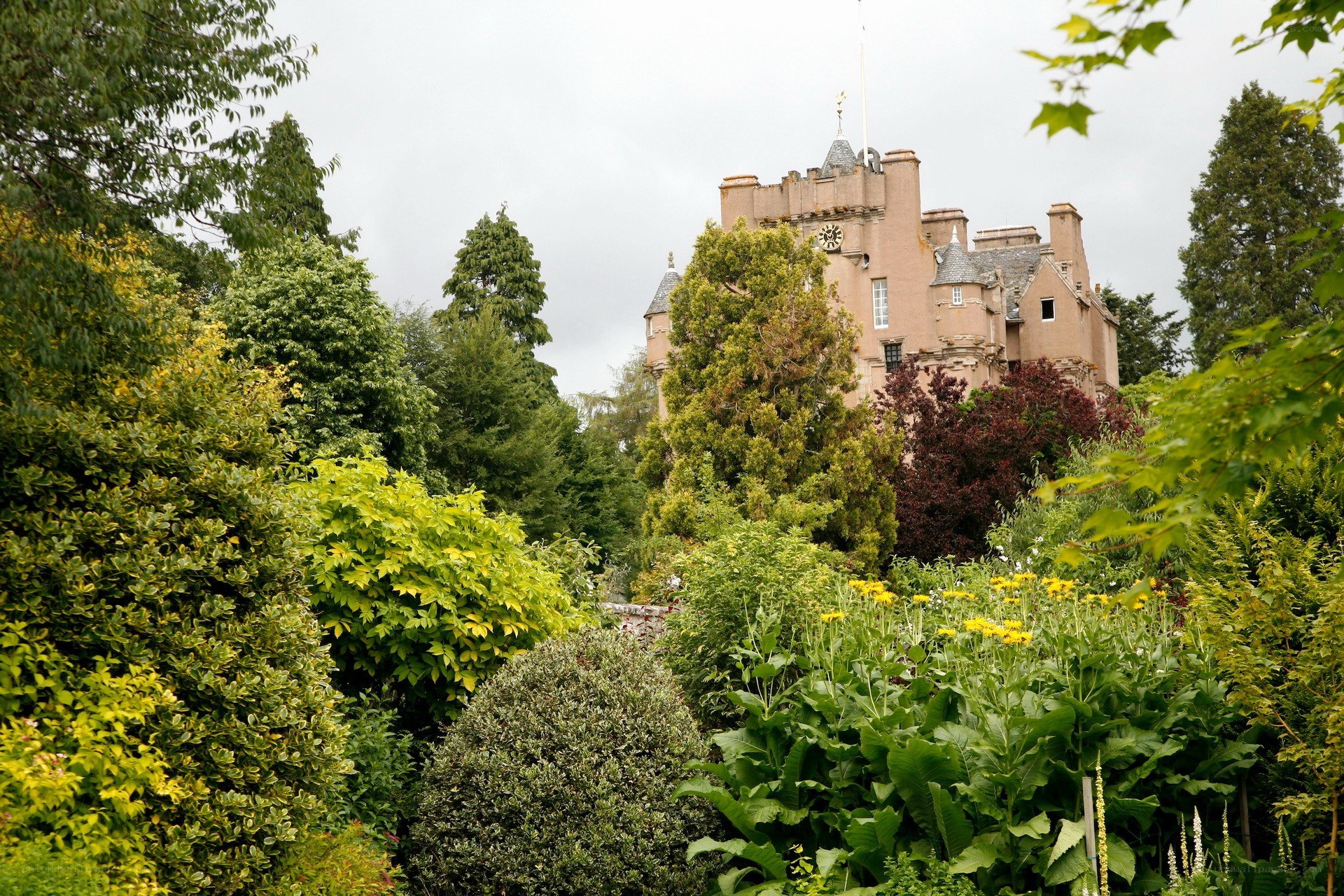 Castle amidst lush gardens