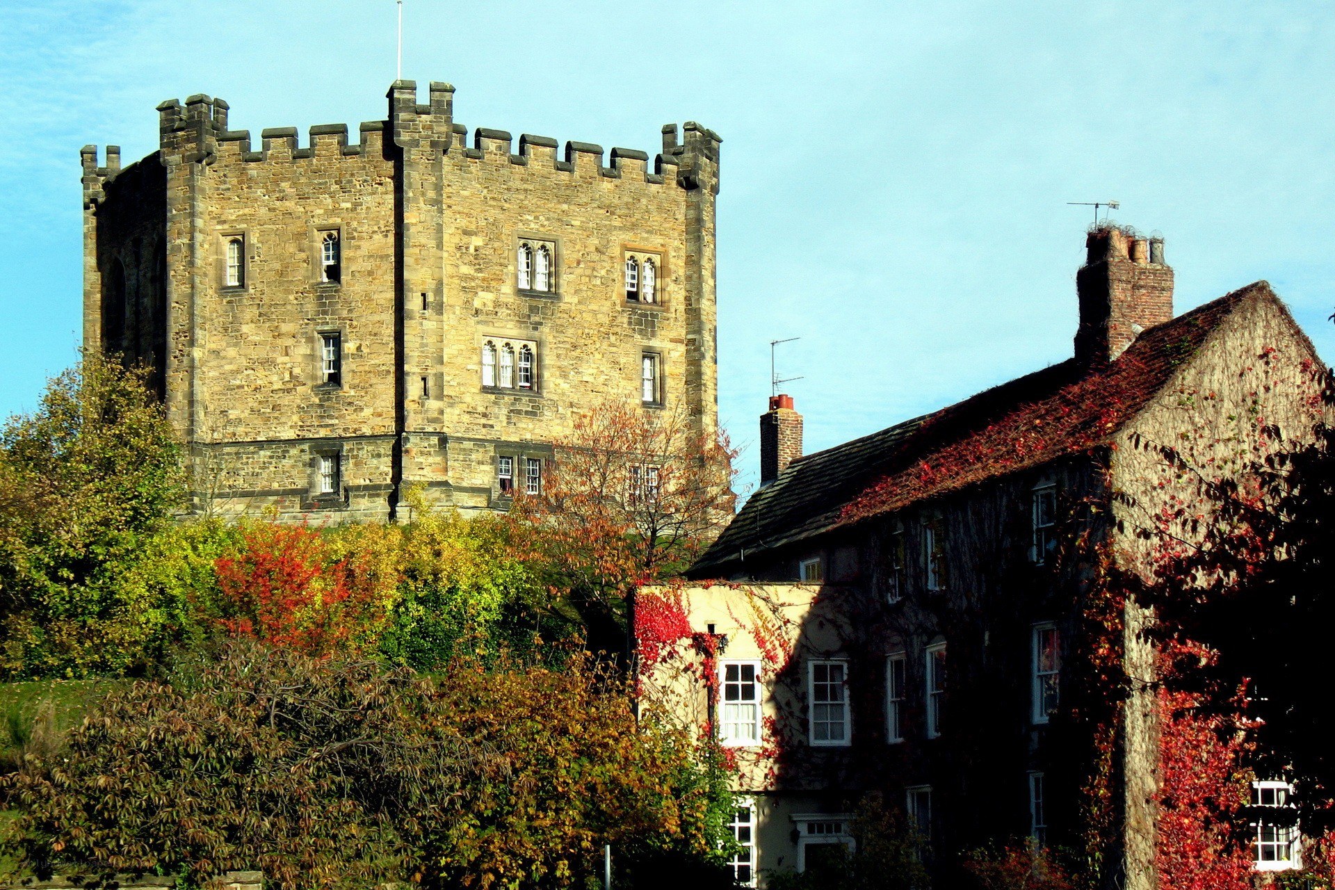 castle and ivy-covered house