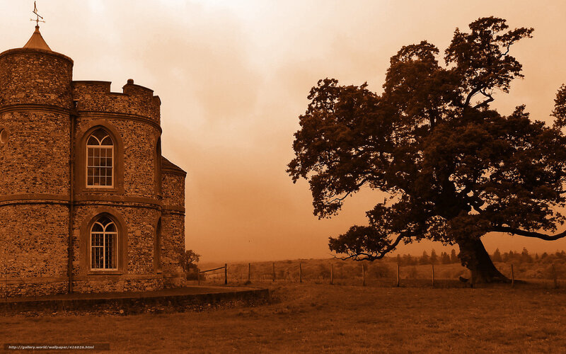Castle and oak tree at dusk