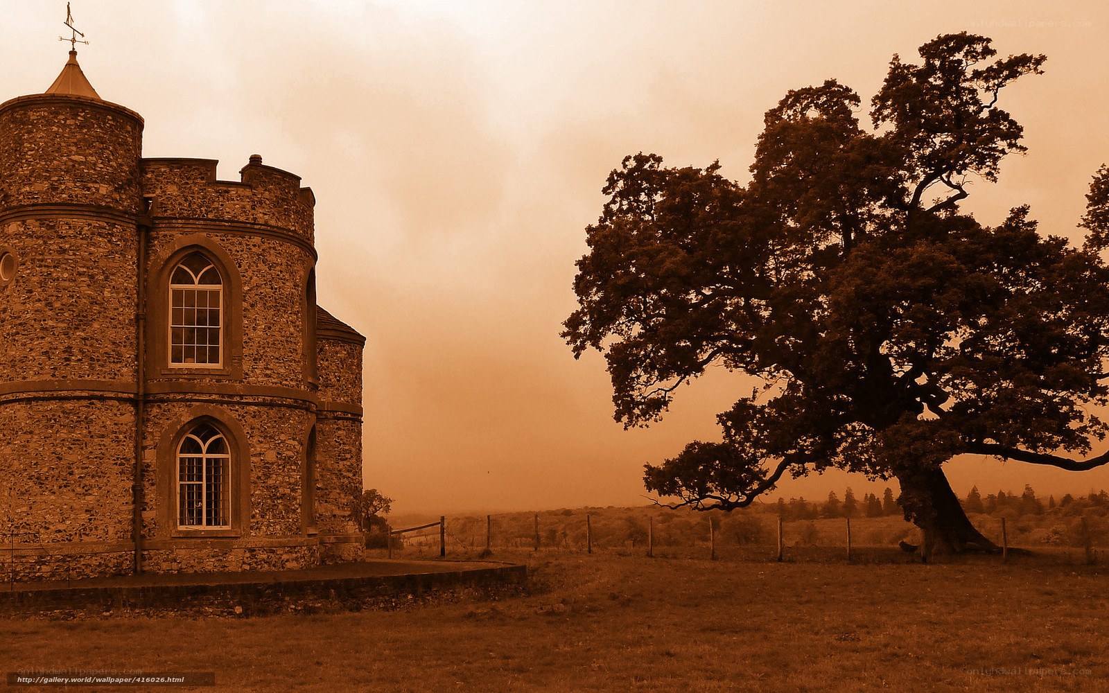 Castle and oak tree at dusk