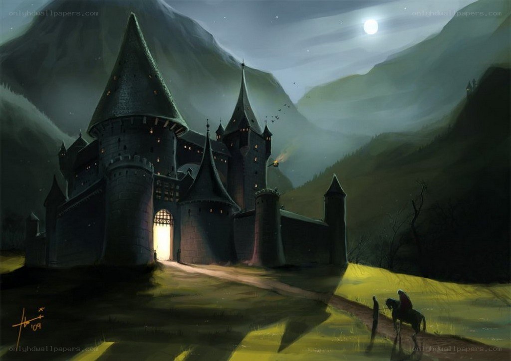 Castle at night under moonlight
