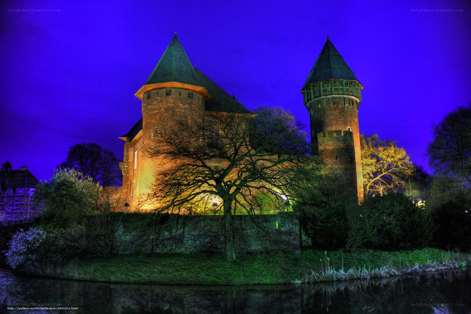 Castle at night with blue sky