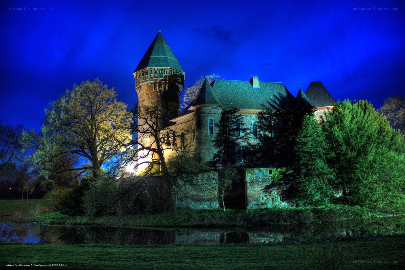 Castle at night with moat