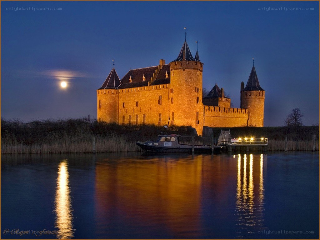 Castle at night with moon