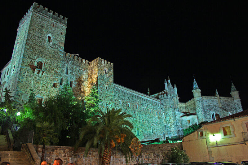 castle at night with palm trees