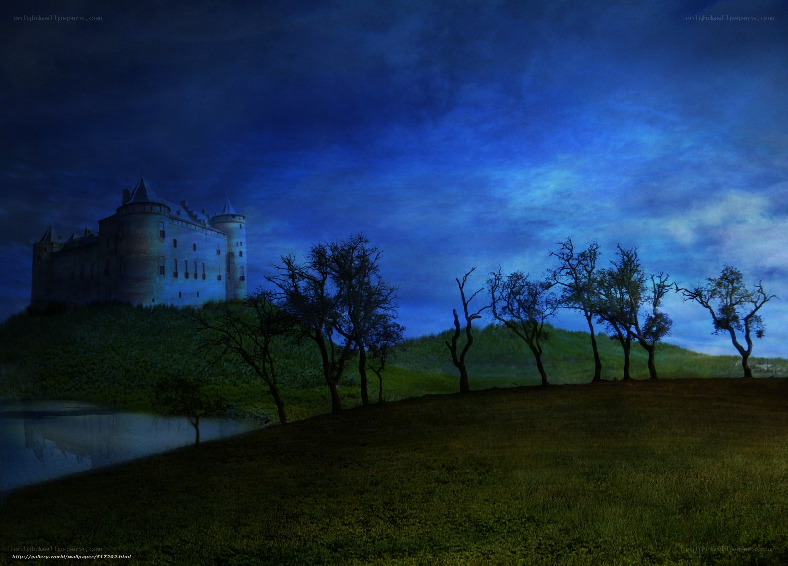 Castle at night with trees
