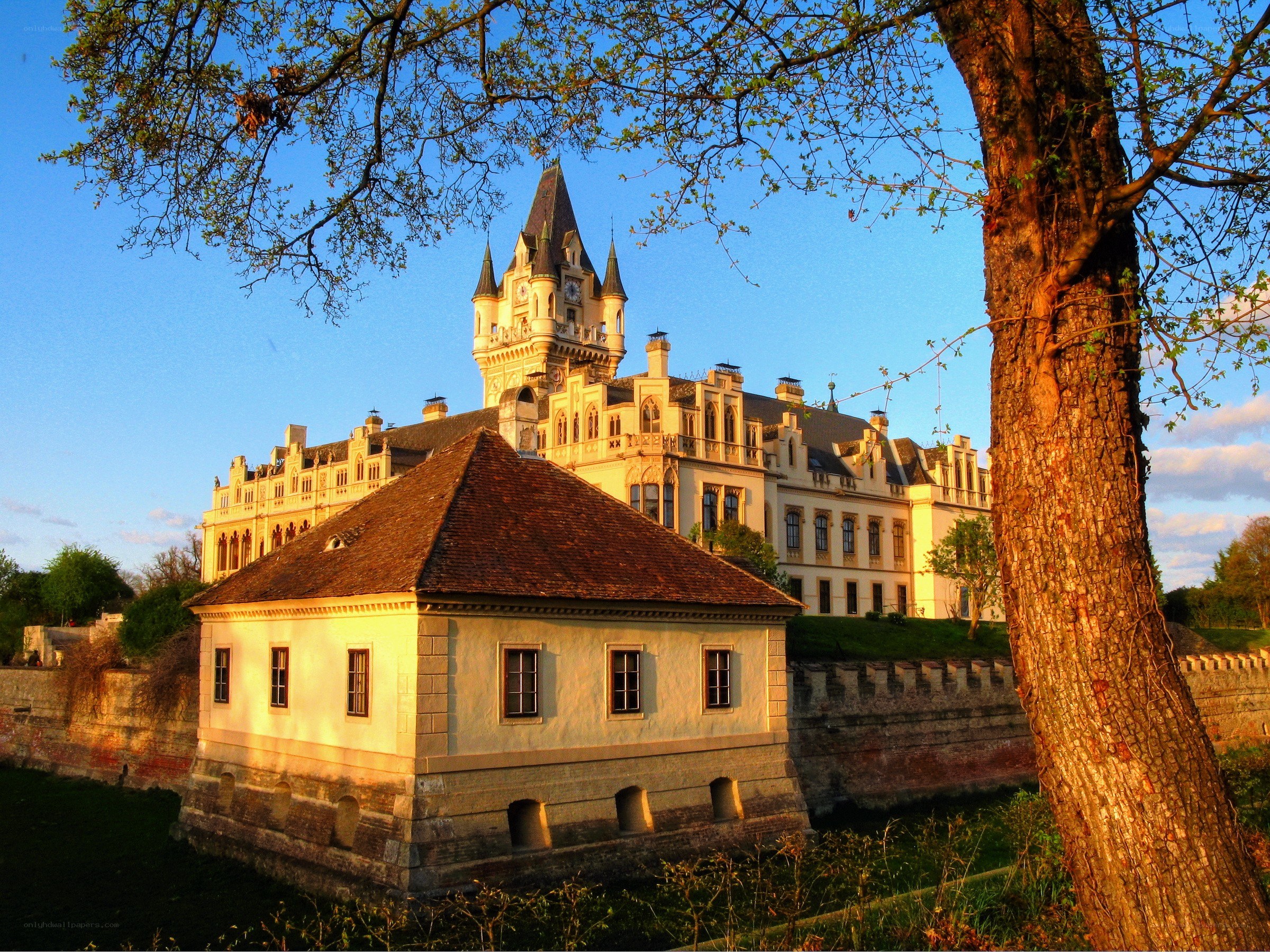 castle at sunset with tree