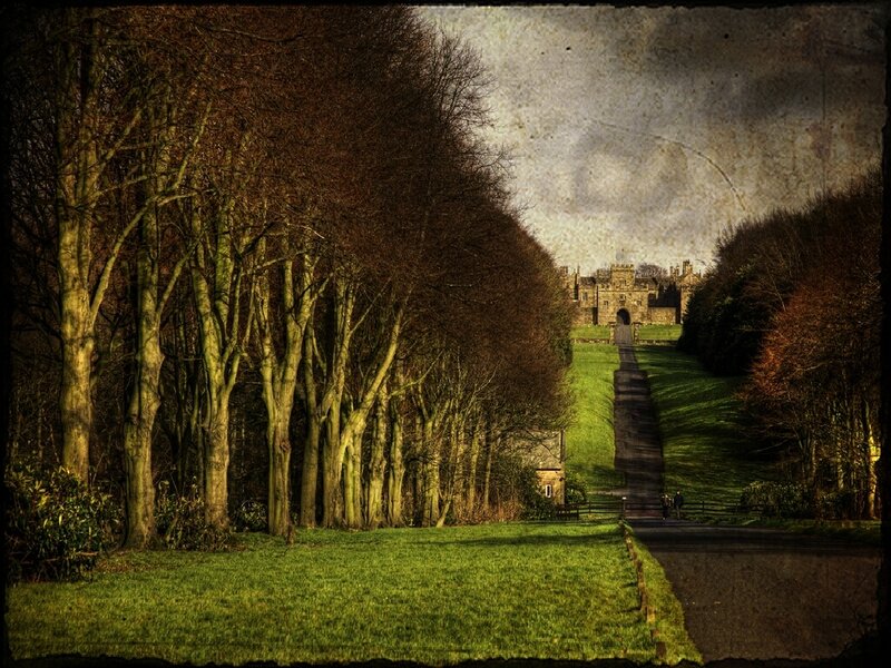 Castle at the end of a tree-lined path