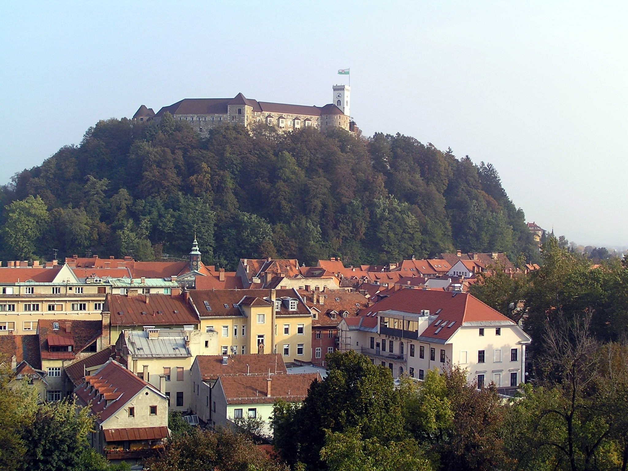 castle atop a forested hill