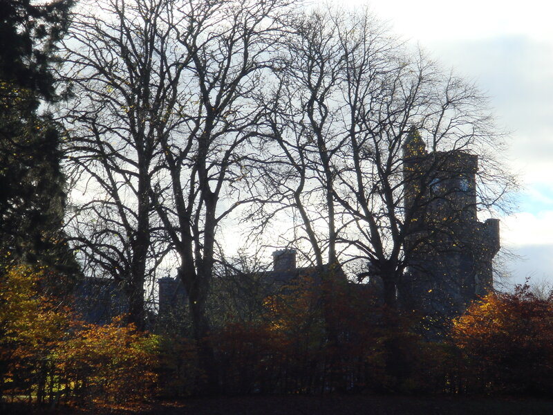Castle behind bare trees
