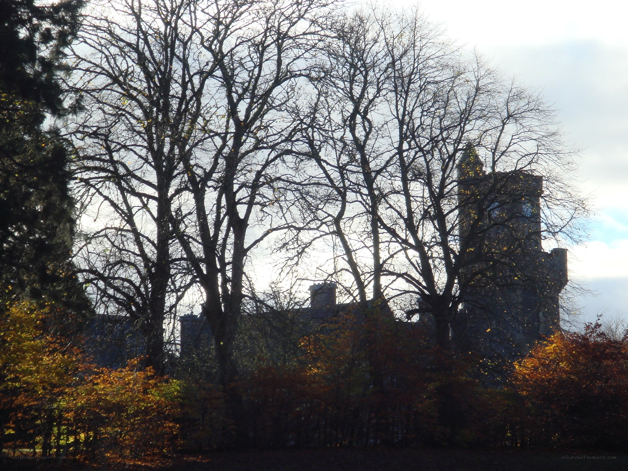 Castle behind bare trees
