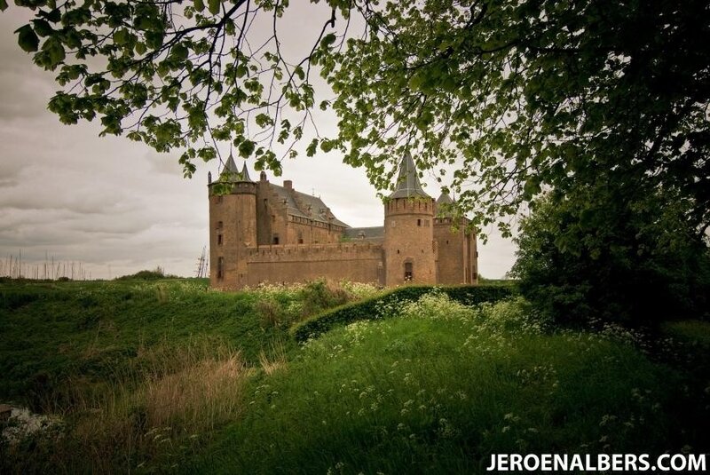 Castle Behind Trees