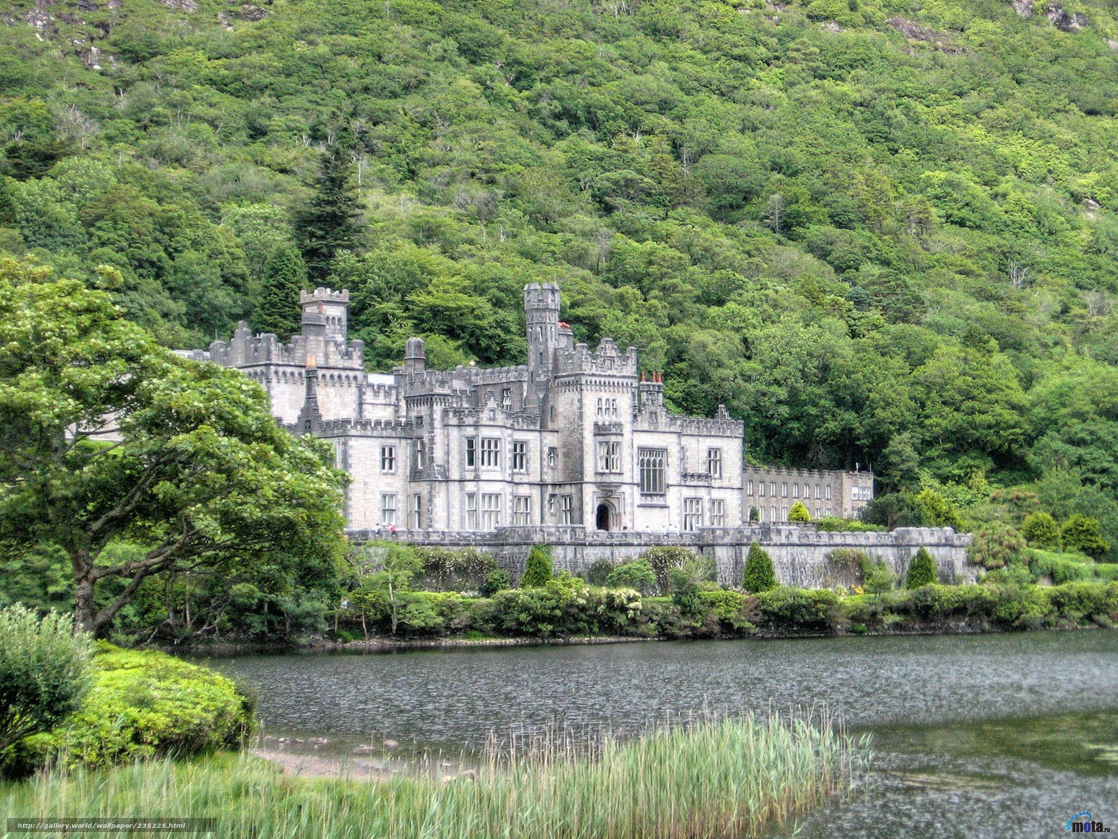 castle by a lake in Ireland