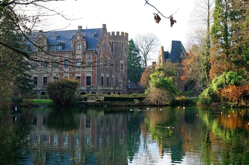 Castle by a lake with ducks