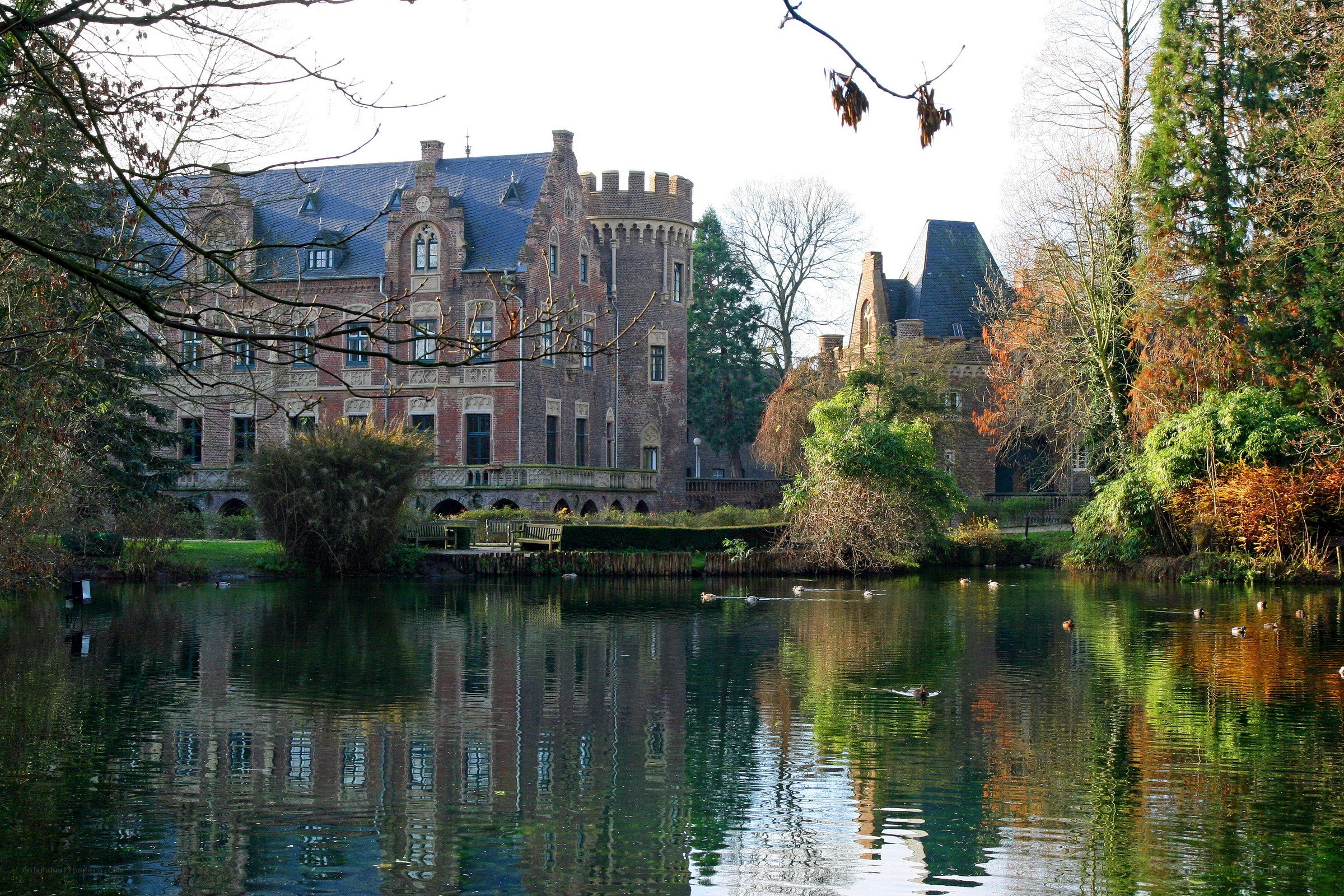 Castle by a lake with ducks