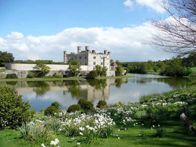Castle by a lake with white flowers