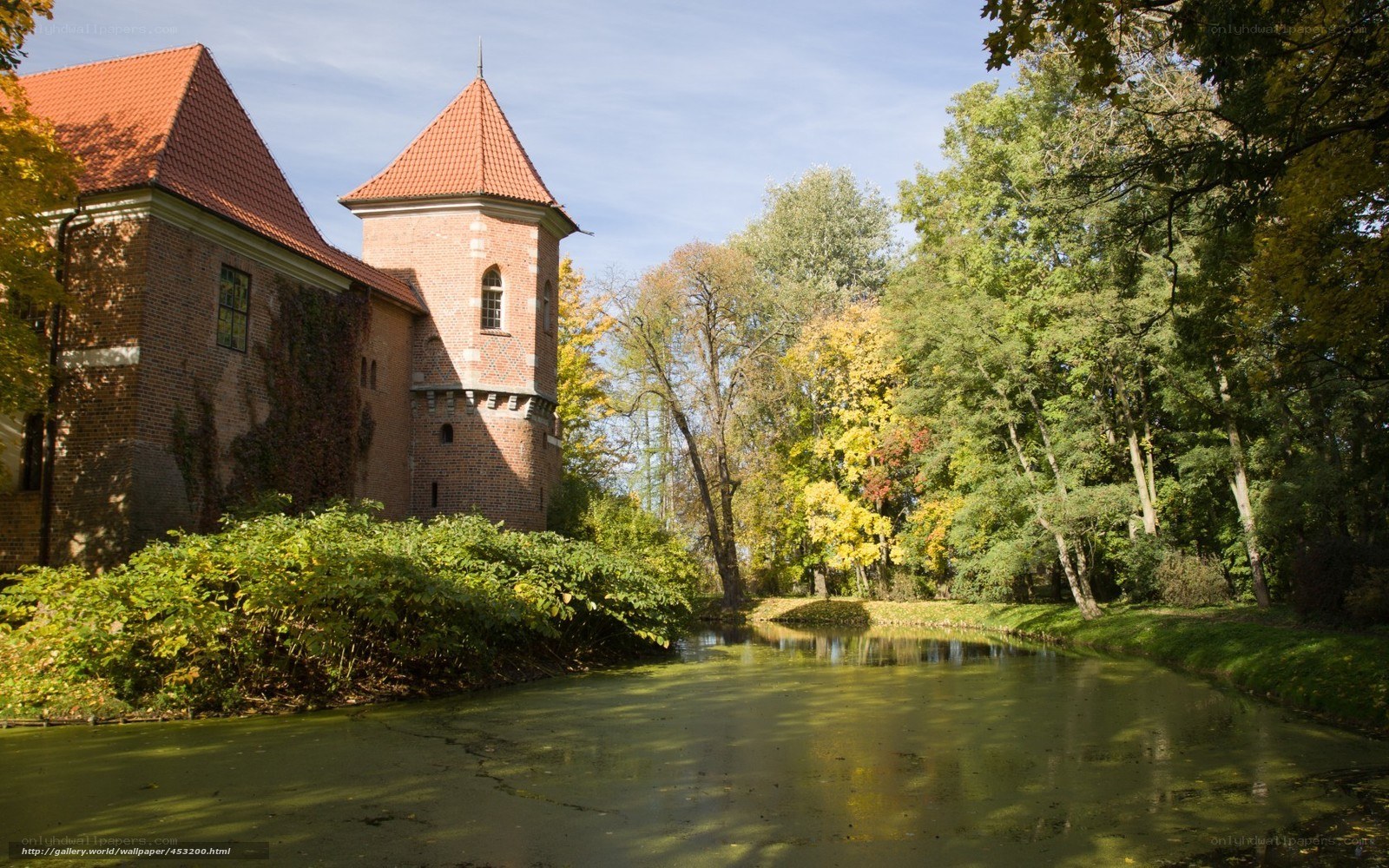 Castle by a pond in autumn