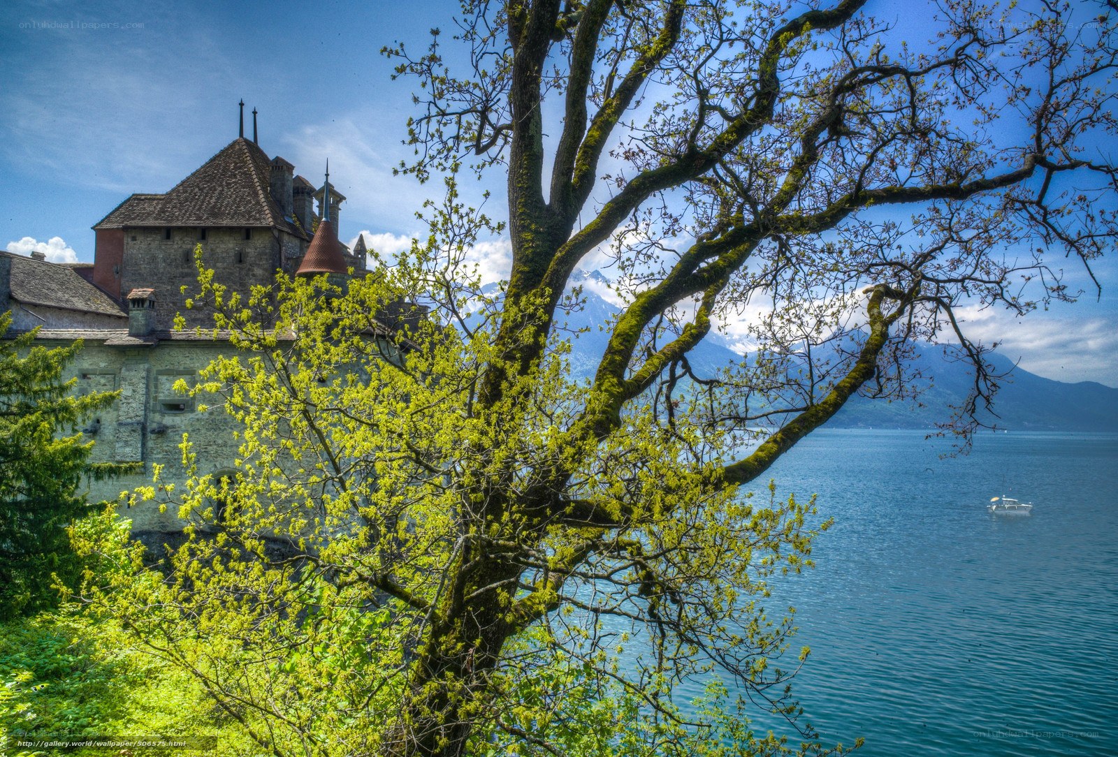 Castle by the lake with tree