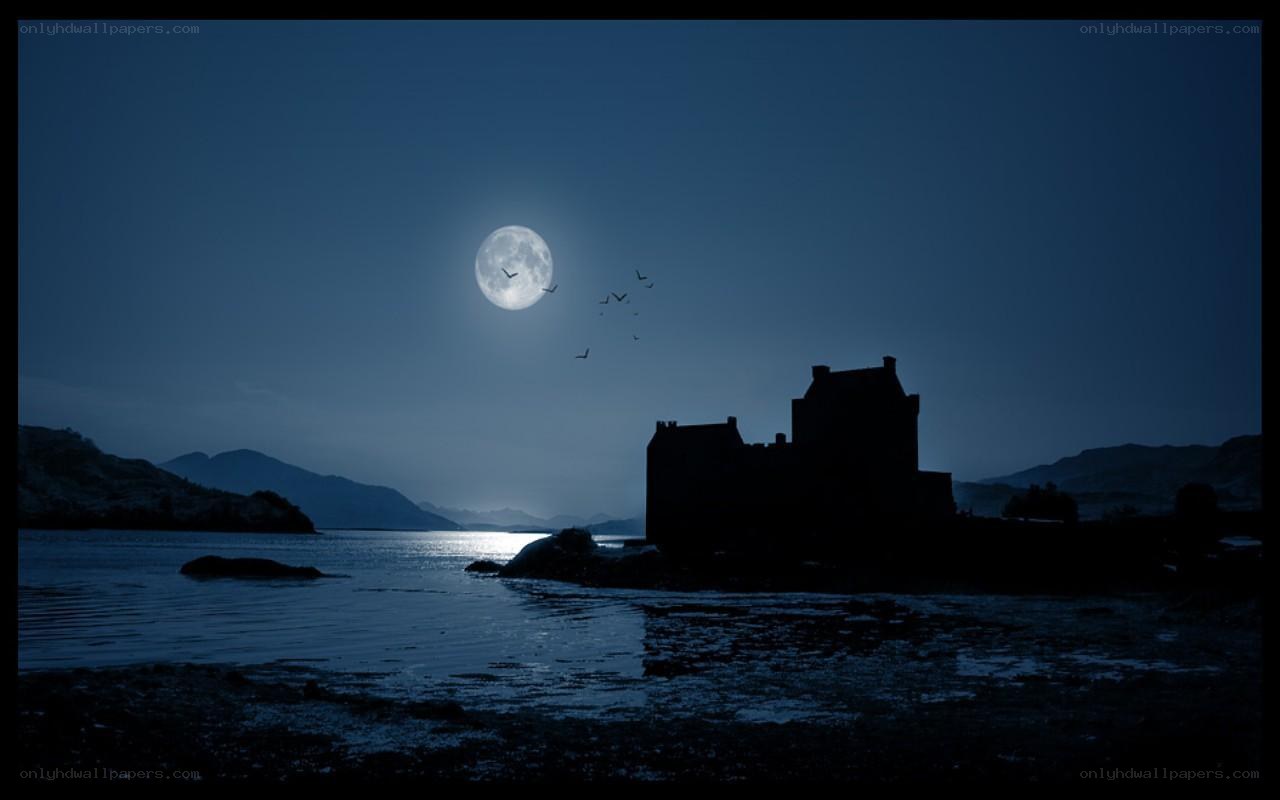 Castle by the moonlit loch