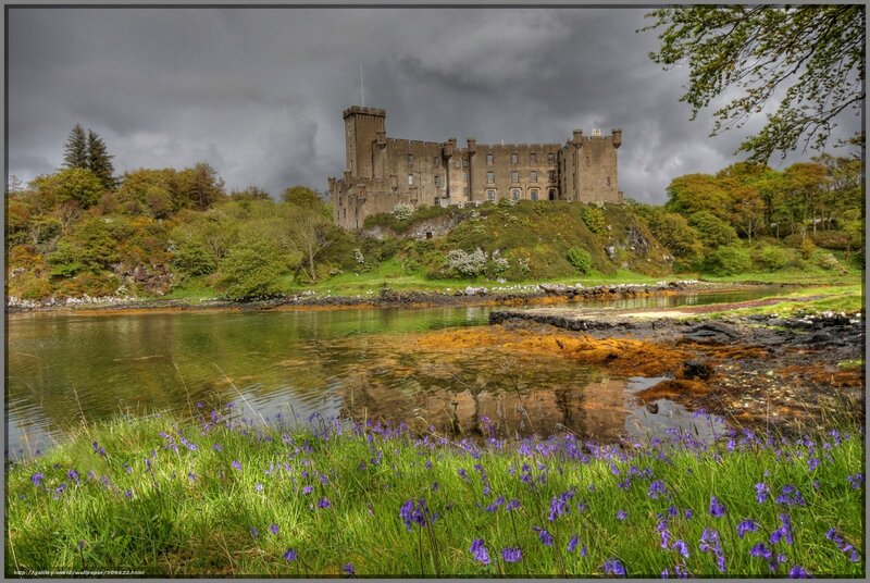 Castle by the water with purple flowers