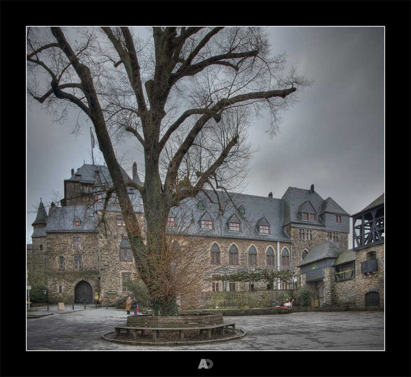 Castle courtyard with bare tree