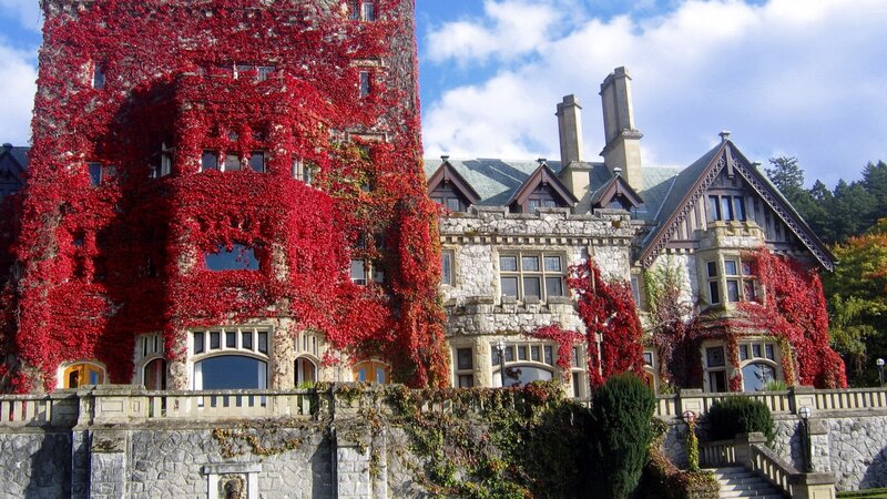 Castle Covered in Red Ivy — Serene
