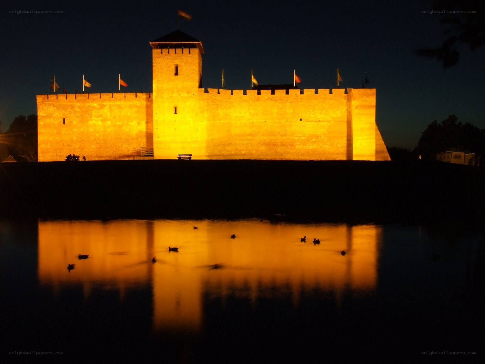 castle illuminated at night