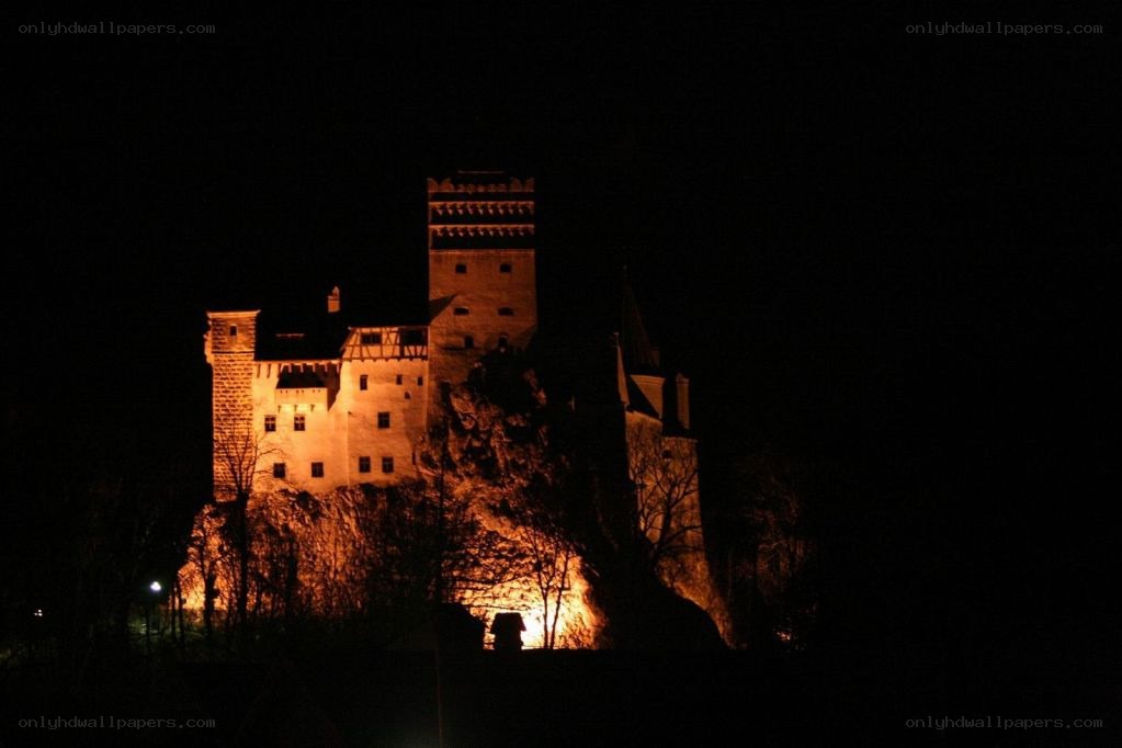 castle illuminated at night