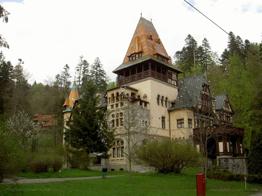 castle in a forest