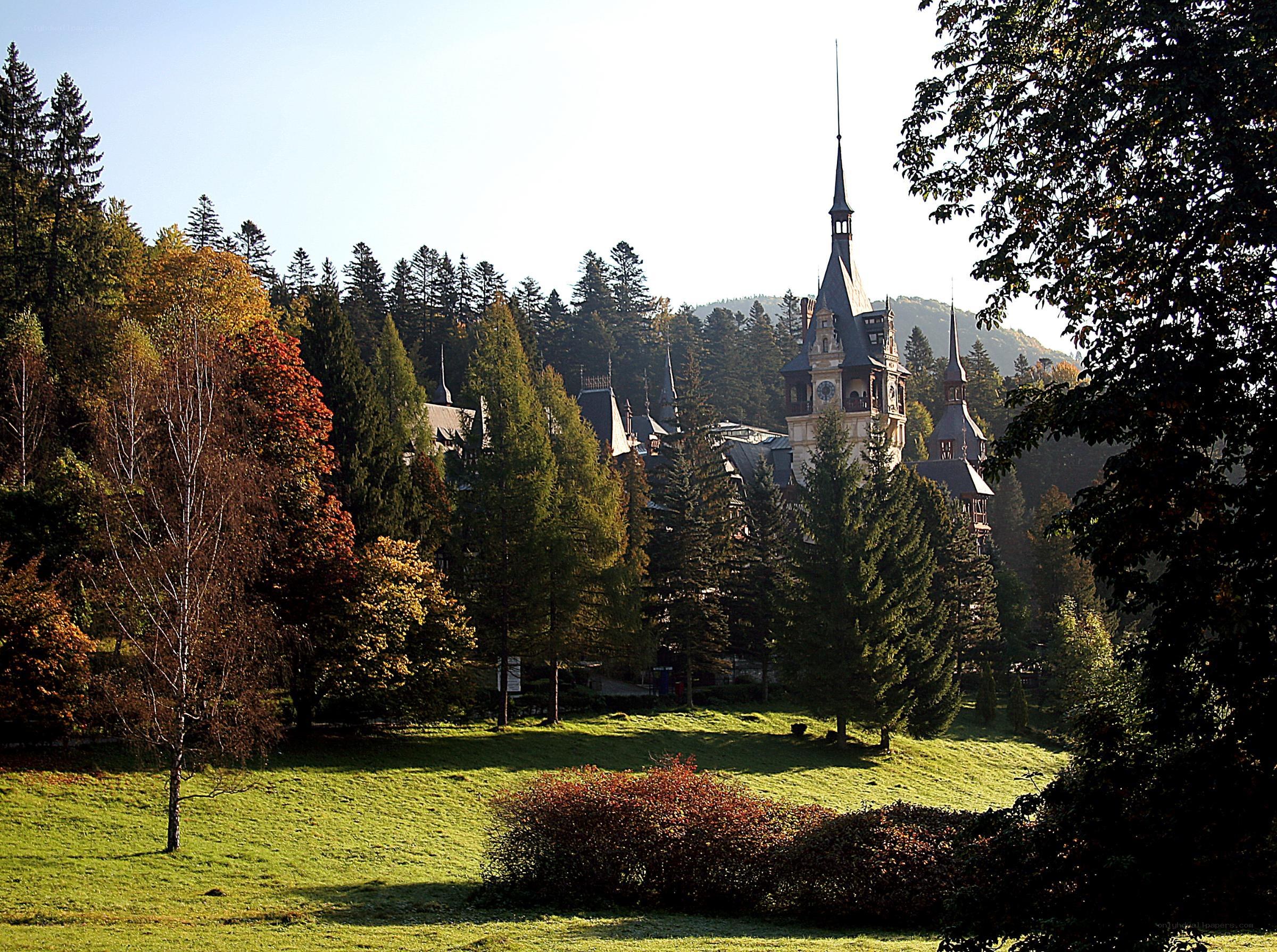 Castle in a forested valley