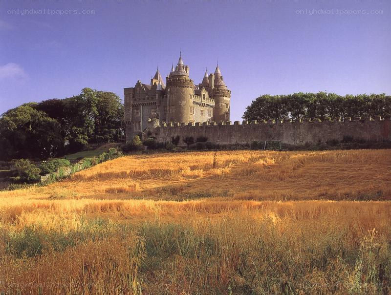 castle in a golden field