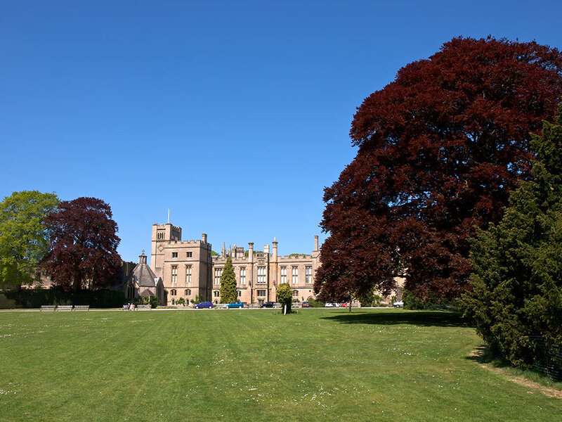 castle in a green park