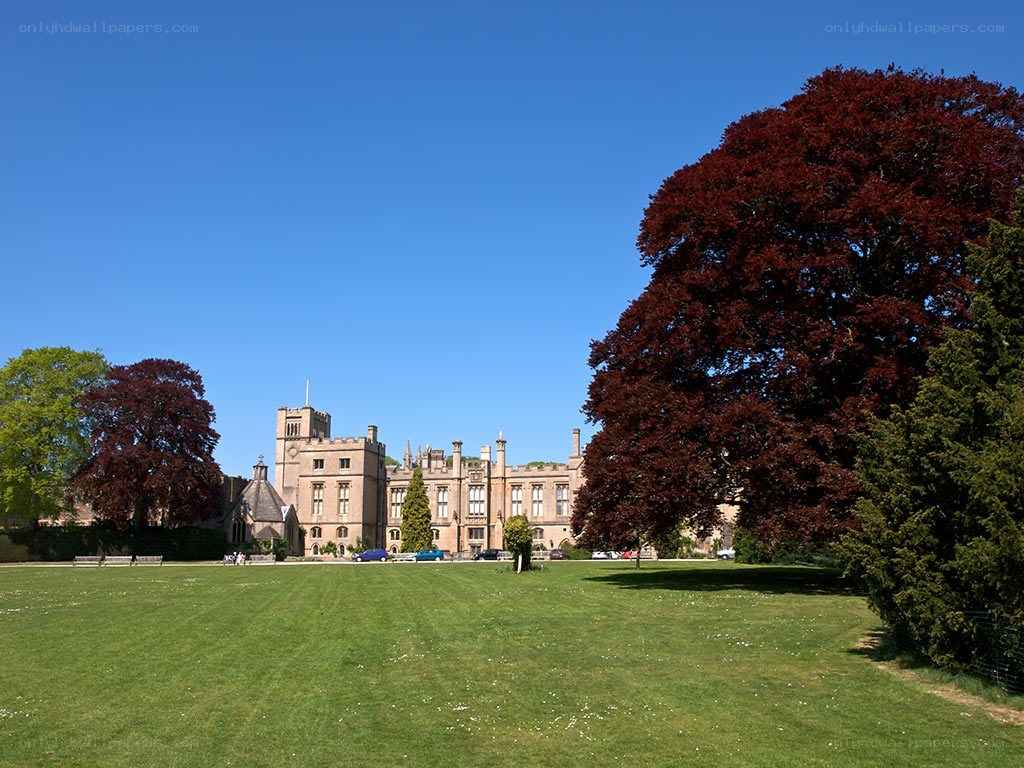 castle in a green park