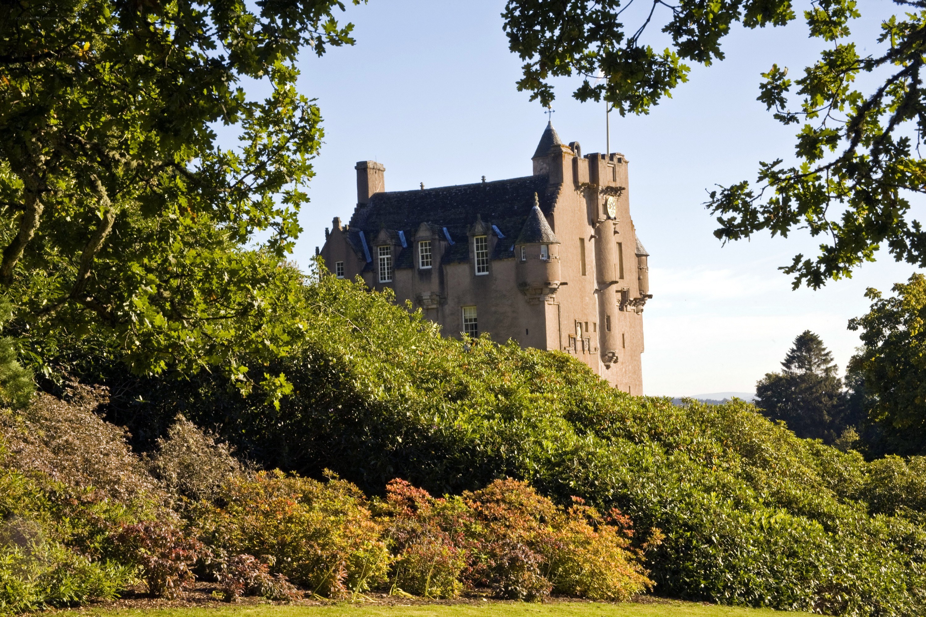 castle in a lush garden