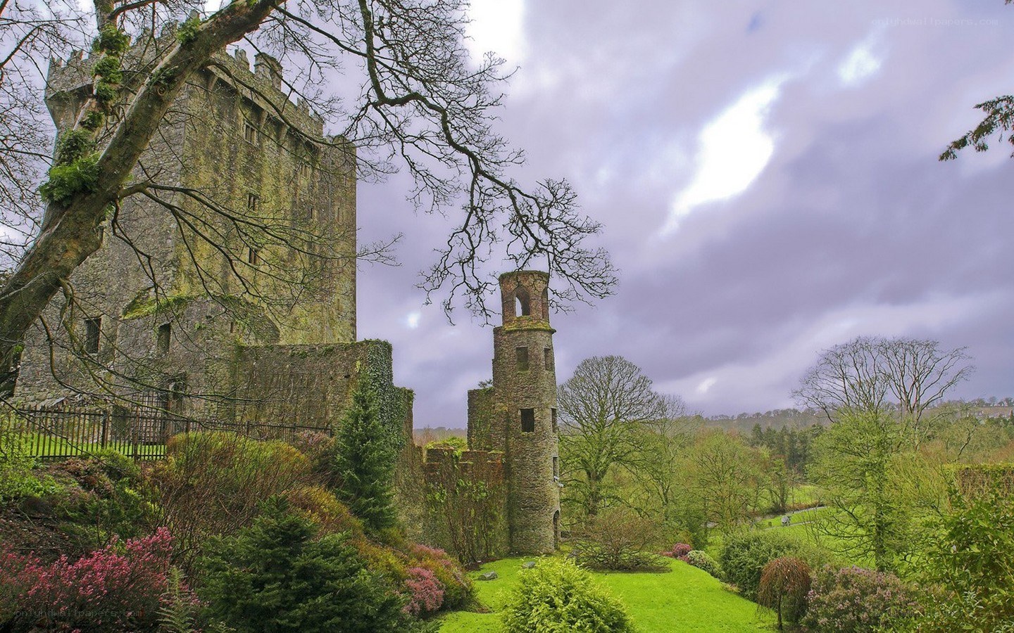 Castle in a lush garden