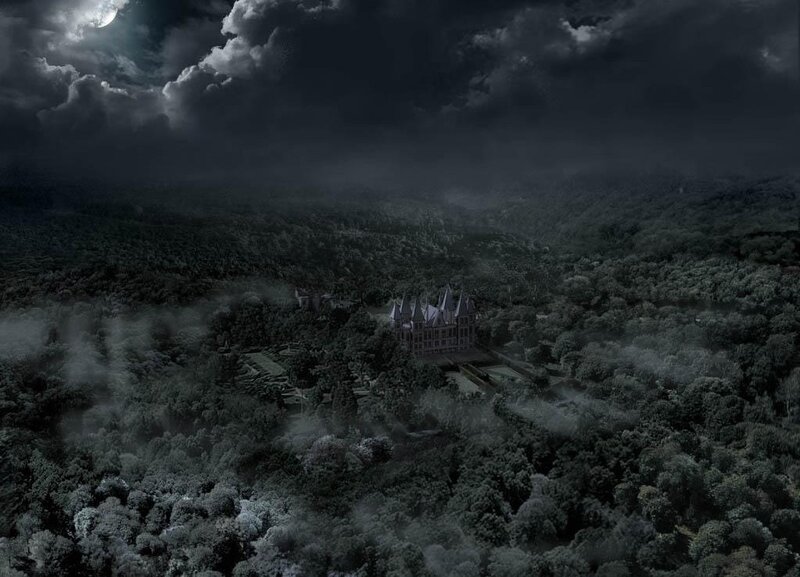 castle in a misty forest