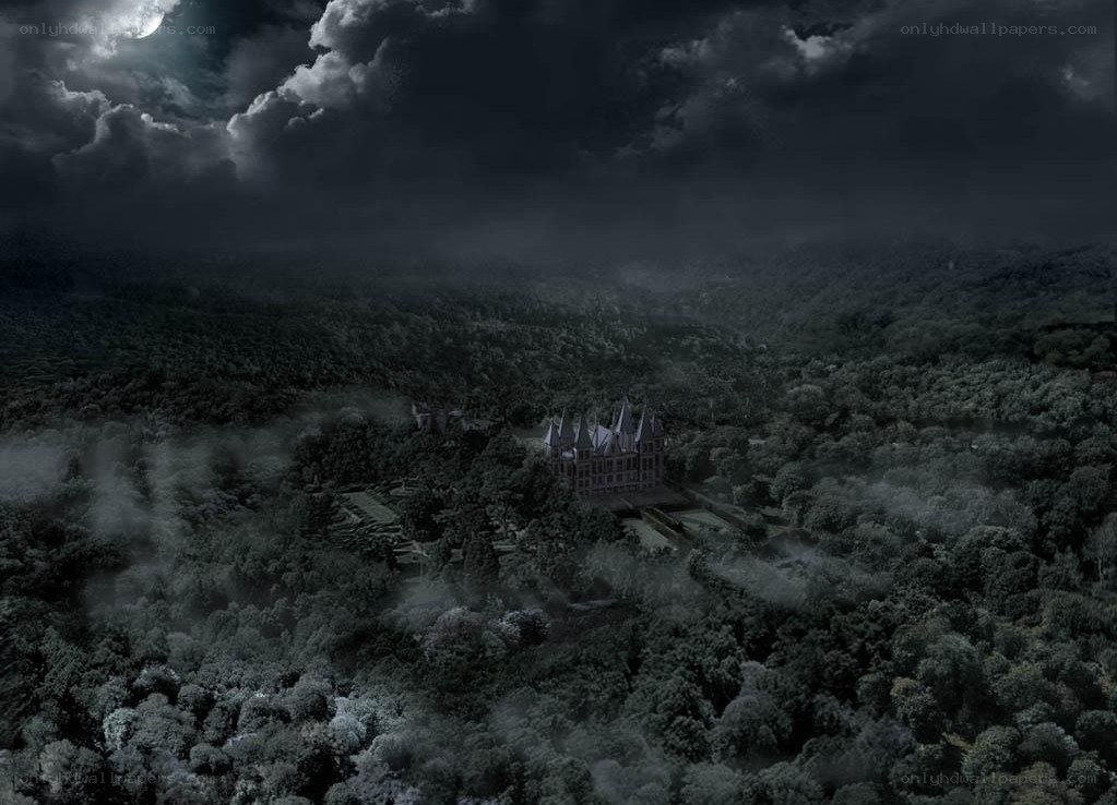 castle in a misty forest