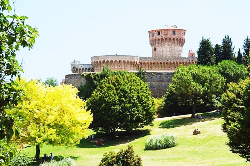 Castle in a park with green trees