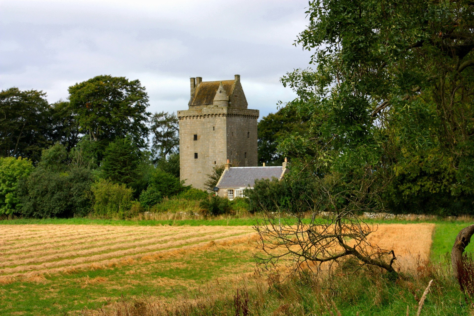 Castle in a rural landscape