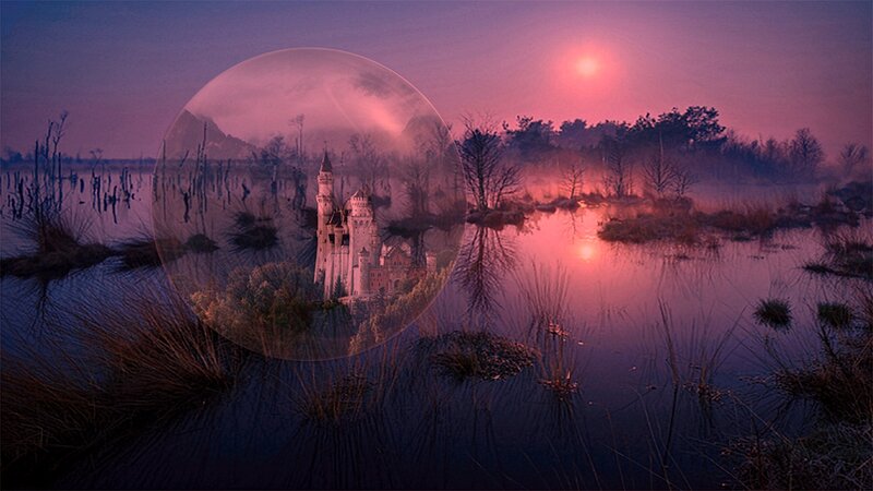Castle in a Swamp