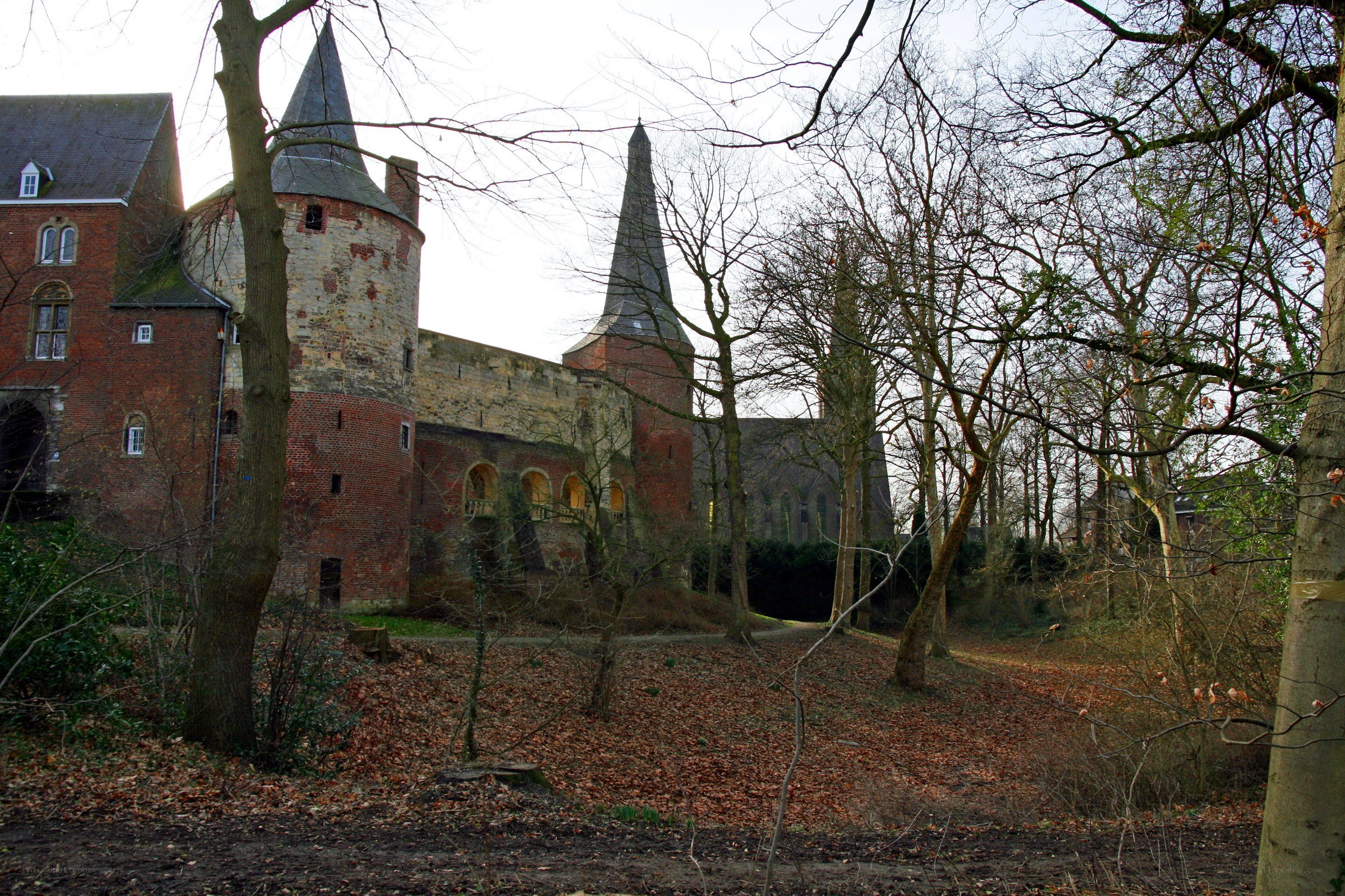 castle in a wooded area