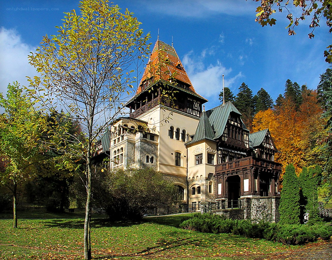 castle in autumn forest