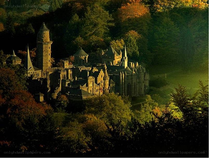 Castle in autumn forest