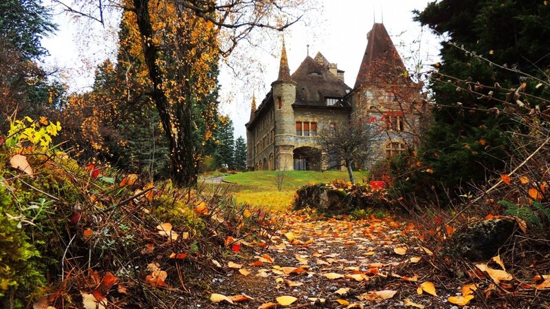 Castle in Autumn Forest — Brown