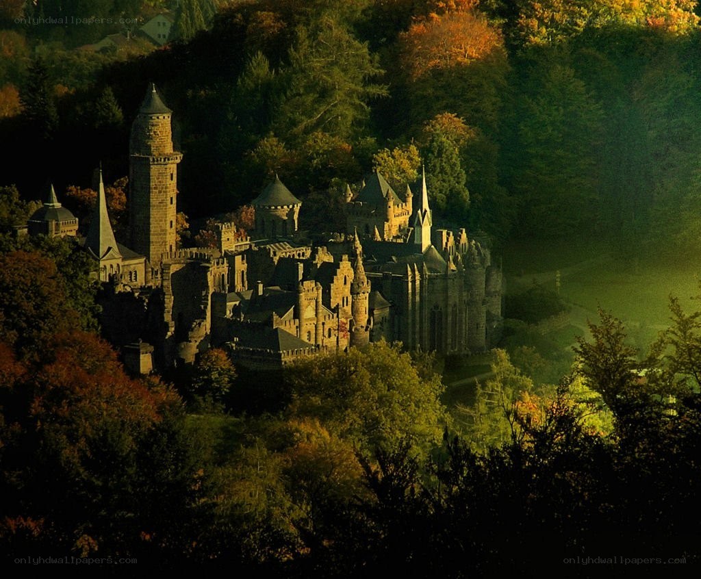 castle in autumn forest
