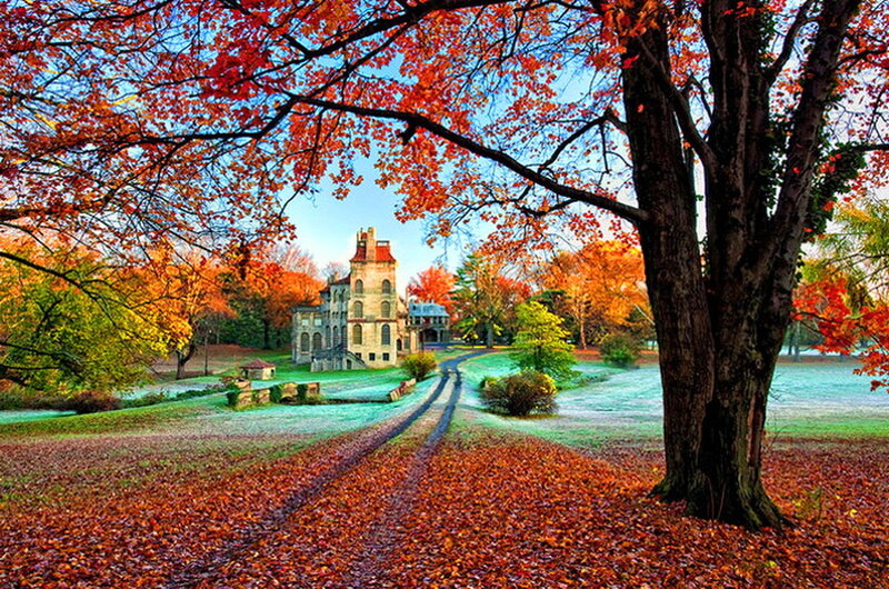 Castle in Autumn Park — Red