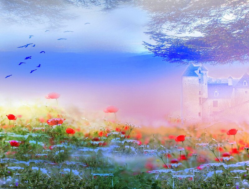 Castle in Flower Field