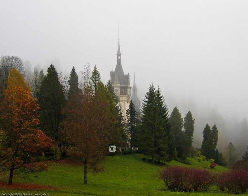 Castle in Foggy Forest